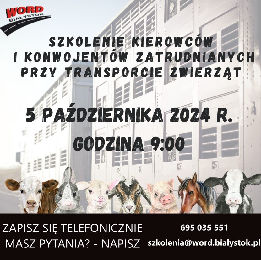 Plakat informacyjny szkolenie osób transportujących zwierzęta. Rozpoczynamy 05.10.2024 r. w sobotę o godz. 9.00